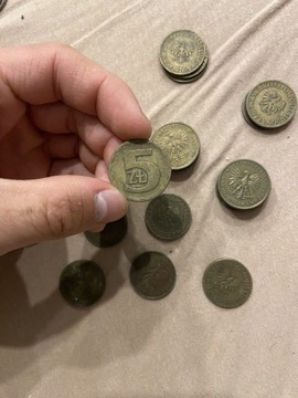 Monety 5 złotych 
