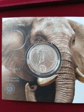 Srebrna Moneta Big Five II: Elephant 2021, 1 uncja