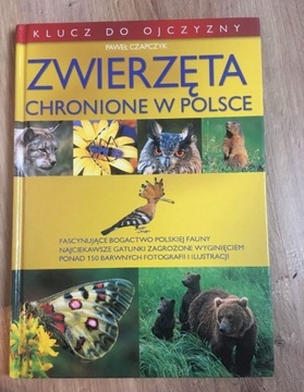 Zwierzęta chronione w Polsce 