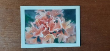 Kartka pocztowa pocztówka urodzinowa kwiat lata 90