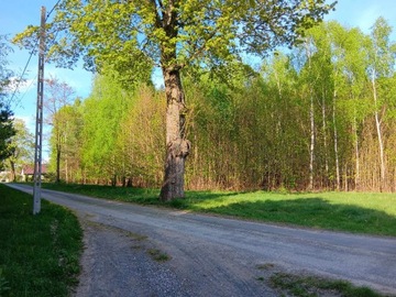 Działka na sprzedaż Mniszków 