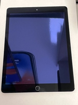 org. wyświetlacz iPad Air 2