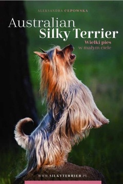 Australian silky terrier. Wielki pies w małym ciel