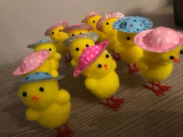 Kurczaczki kapeluszach Wielkanoc, Wiosna, pisklę