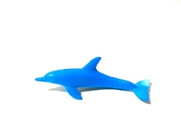 małe zwierzęta mórz i oceanów delfin