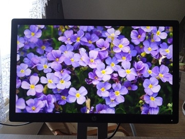 Monitor HP EliteDisplay E232 (281)