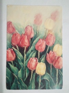 Malowane ustami J.K. Park tulipany wyd. AMUN