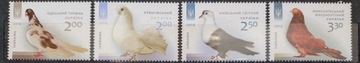Fauna zwierzęta gołębie ptaki Ukraina