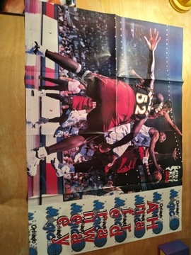 Plakat Anfernee Hardaway - Nowy