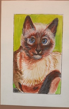 portret kota w malarstwie