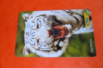 Brazylia CTBC Tygrys Bengalski Fauna