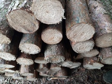 Słupki drewniane 2,4m
