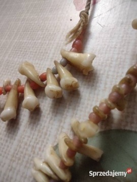 Naszyjnik plemienny Afryka naturalne zęby 