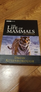 THE LIFE OF MAMMALS DAVID ATTENBOROUGH DVD
