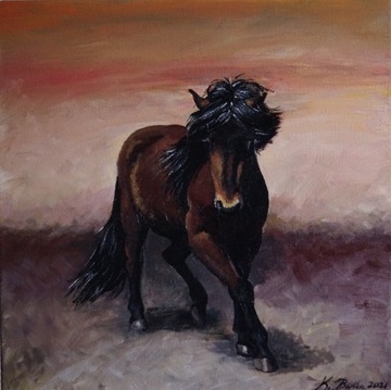 Obraz koń islandzki ręcznie malowany