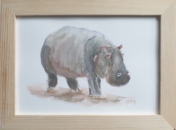 Obraz ręcznie malowany hipopotam +rama 