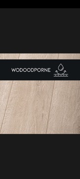 Panele laminowane Premium Floor Dąb wodoodporne
