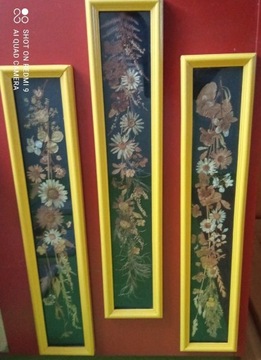 Obraz suszone kwiaty za szkłem w drewnianej ramce
