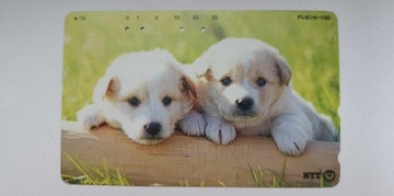 Karta Telefoniczna - Psy Labradory - Japonia