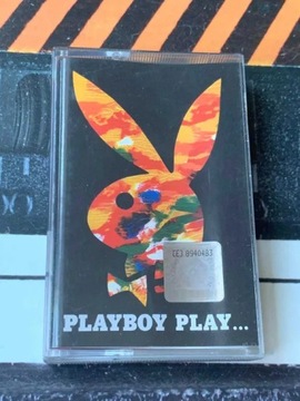 Playboy Play... (Neneh Cherry, Maanam) Kaseta EX!