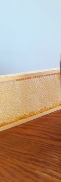 Ramka plaster  miodu akacjowy honeycomb