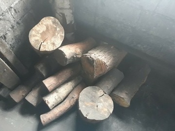drewno sosna brzoza