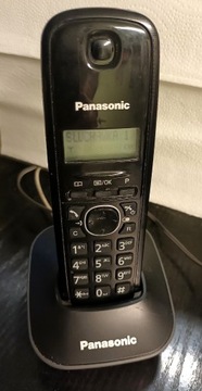 Telefon Bezprzewodowy Panasonic KX-TG 1611PDH