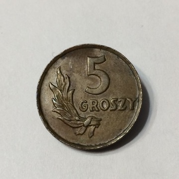 5 gr groszy 1949 - brąz