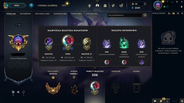 Konto league of legends (lol) dużo skinów EUNE