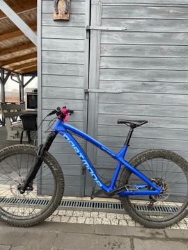 Dartmoor Hornet Pro 2019r