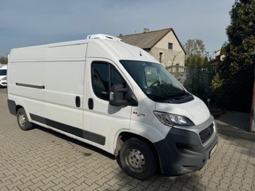 Fiat Ducato chłodnia izoterma 