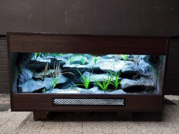 Terrarium dla gekona jaszczurki 100x50x50 