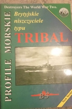 Brytyjskie niszczyciele typu Tribal 