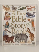 Książka Biblia dla dzieci Bible Store Book English