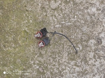 Wtyczki oprawki kabel Halogenu Ford Focus MK2 Lift