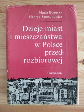 Dzieje miast i mieszczaństwa w Polsce 