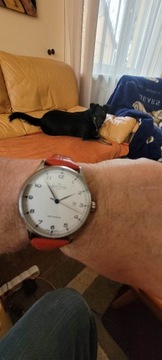 zegarek  Davosa 