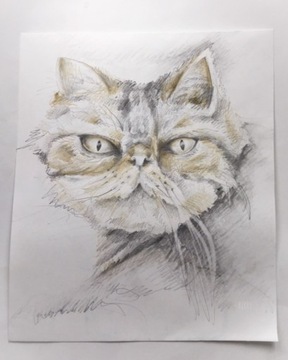 Portret zwierząt, portret kota, rysunek