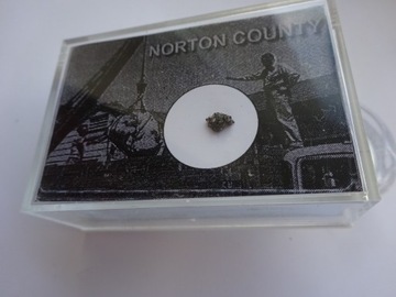178 meteoryt Norton County aubryt! 0.02 g.