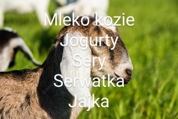 Serki,jogurty,mleko świeże,jajka 100% organiczne!!