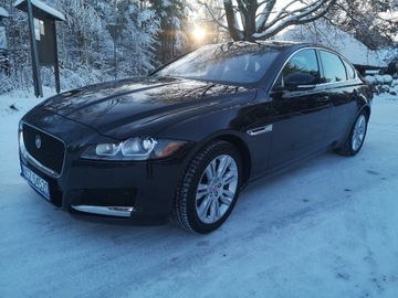 JAGUAR XF PORTFOLIO