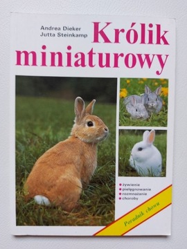 Królik miniaturowy