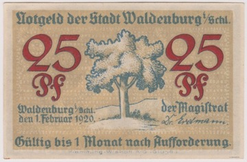 Waldenburg (Wałbrzych), 25 Pf, 1.02.1920