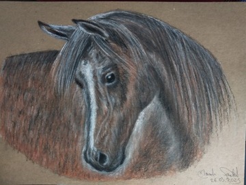 "Koń" Suchy Pastel