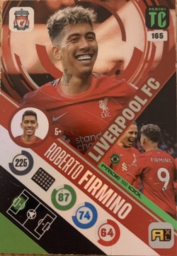 Panini Top Class ROBERTO FIRMINO pride idol