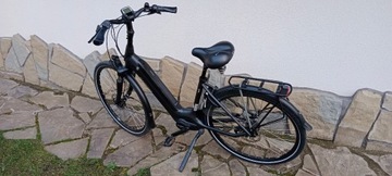 Rower elektryczny: BATAVUS FINEZ E-go Power