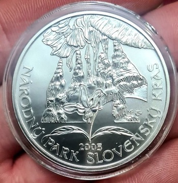 Srebrna moneta 500 Koron Słowacki Kras 2005, 1oz