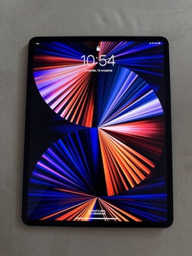 iPad Pro 12,9 WIFI 1TB + Cellular Gwiezdna Szarość