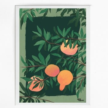 Plakat botaniczny Owoce w słońcu A3