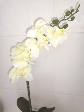 Storczyk biały, Orchidea  52 cm, NOWY